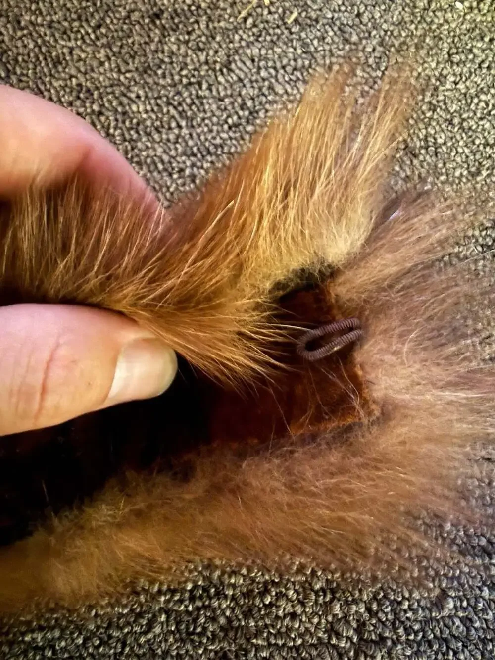 Vintage Harold J. Rubin Real Fur Collar Wrap